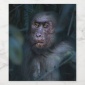 Étiquette Pour Bouteilles De Vin Singe dans la jungle (Étiquettes simples)