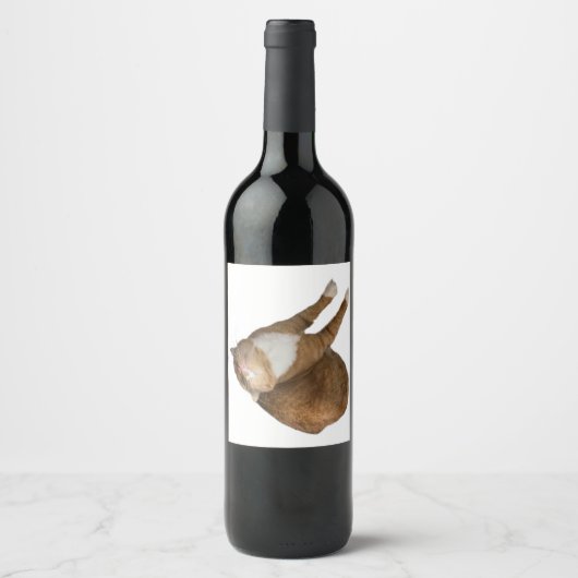 Étiquette Pour Bouteilles De Vin Soleil à l'envers (Devant)
