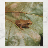 Étiquette Pour Bouteilles De Vin Tiny Toad (Étiquettes simples)