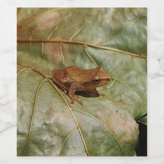 Étiquette Pour Bouteilles De Vin Tiny Toad (Étiquettes simples)