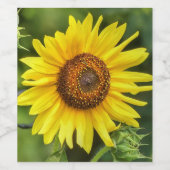 Étiquette Pour Bouteilles De Vin Tournesol (Étiquettes simples)