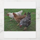 Étiquette Pour Bouteilles De Vin Trois Amigos (Étiquettes simples)