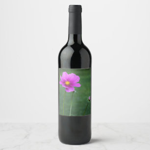 Étiquette Pour Bouteilles De Vin Un aster mexicain