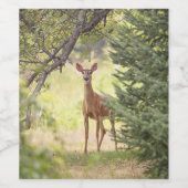 Étiquette Pour Bouteilles De Vin Un cerf solitaire (Étiquettes simples)