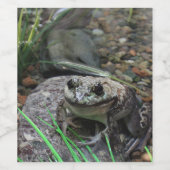 Étiquette Pour Bouteilles De Vin Une Grenouille heureuse (Étiquettes simples)