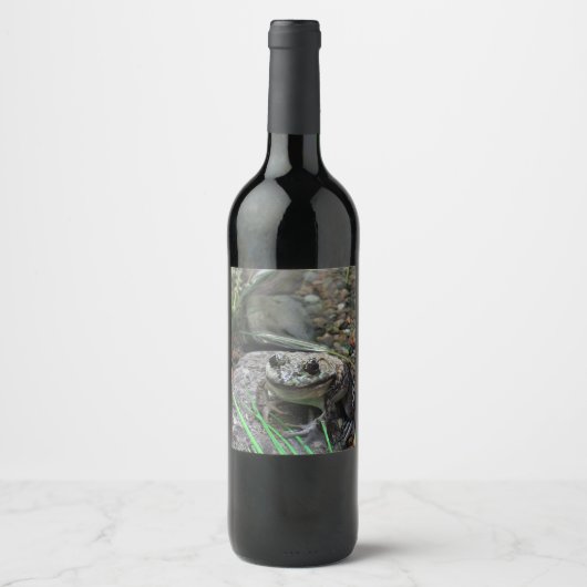 Étiquette Pour Bouteilles De Vin Une Grenouille heureuse (Devant)