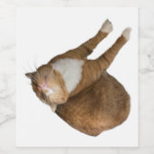 Étiquette Pour Bouteilles De Vin Upside-Down Sunshine Cat (Étiquettes simples)