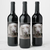Étiquette Pour Bouteilles De Vin Weimaraner Silver Grey (Bouteilles)