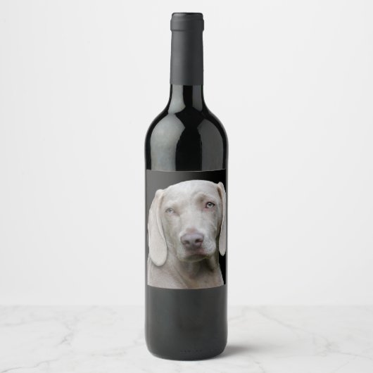 Étiquette Pour Bouteilles De Vin Weimaraner Silver Grey (Devant)