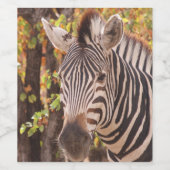 Étiquette Pour Bouteilles De Vin Zèbre dans la forêt de mopani (Étiquettes simples)