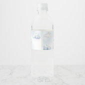 Étiquette Pour Bouteilles D'eau Adventure Await Hot Air Balloon (Dos)