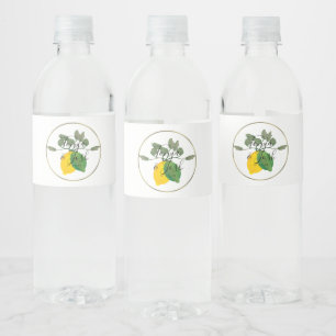 Étiquette Pour Bouteilles D'eau Aquarelle Citron Vert Limoncillo