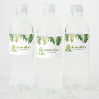 Baby shower Dinosaur