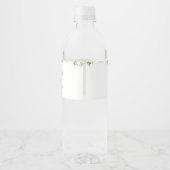 Étiquette Pour Bouteilles D'eau Baby shower Dinosaur Boy (Dos)