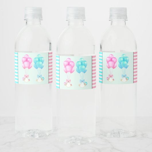 Étiquette Pour Bouteilles D'eau Baby shower jumeaux (Bouteilles)