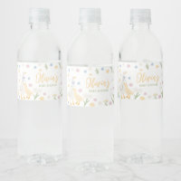 Baby shower Pastel Silly Goose