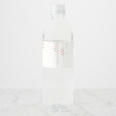 Étiquette Pour Bouteilles D'eau Blush and Silver Balloons Birthday  (Dos)