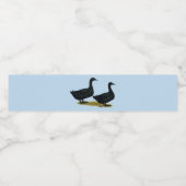 Étiquette Pour Bouteilles D'eau Canards : Cayugas noirs (Étiquettes simples)