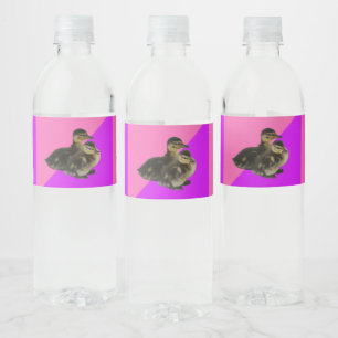 Étiquette Pour Bouteilles D'eau Canetons sur framboise rose et sorbet violet