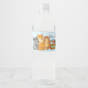 Étiquette Pour Bouteilles D'eau C'est un garçon Baby shower Woodland Creatures