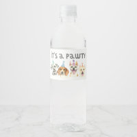 Chien pawty Anniversaire Chien puppy