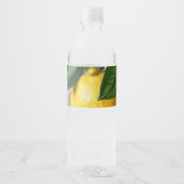 Étiquette Pour Bouteilles D'eau Citron vert (Devant)