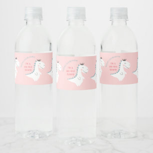 Étiquette Pour Bouteilles D'eau Cute Blush rose Turquoise Dinosaure fête d'anniver