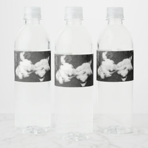 Étiquette Pour Bouteilles D'eau duvet