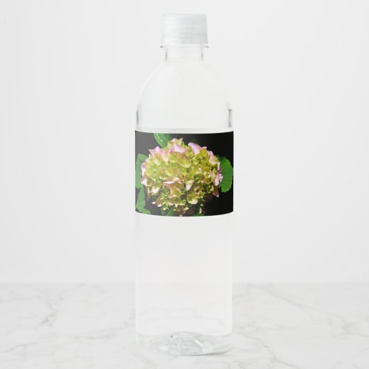 Étiquette Pour Bouteilles D'eau Elégantes hydrangées florales vertes et douces (Devant)