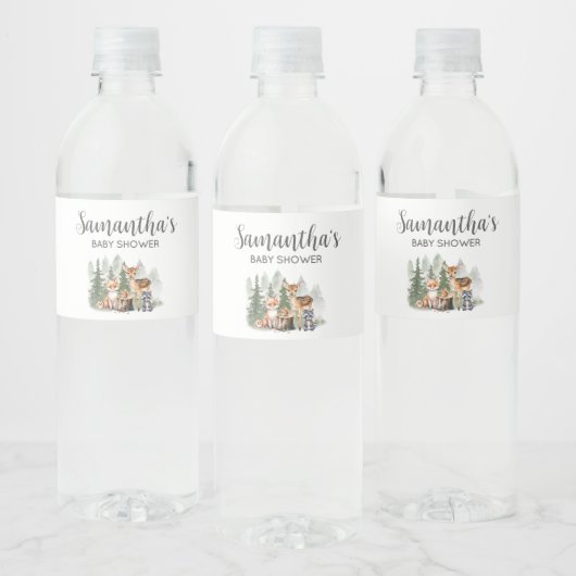 Étiquette Pour Bouteilles D'eau Let the Adventure Begin Baby Shower (Bouteilles)
