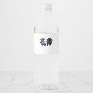 Étiquette Pour Bouteilles D'eau Nuit Étoilée Whimsigoth Soleil Lune Sorcière Class