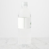 Étiquette Pour Bouteilles D'eau One A Saurus Dinosaur Boy Birthday (Dos)