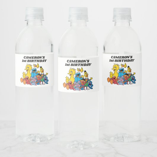 Étiquette Pour Bouteilles D'eau Sesame Street Pals 1er anniversaire (Bouteilles)