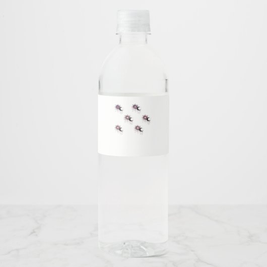 Étiquette Pour Bouteilles D'eau Whimsigoth Sun Moon Witchy (Devant)