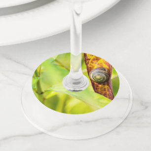 Étiquette Pour Verre De Vin attachement calme