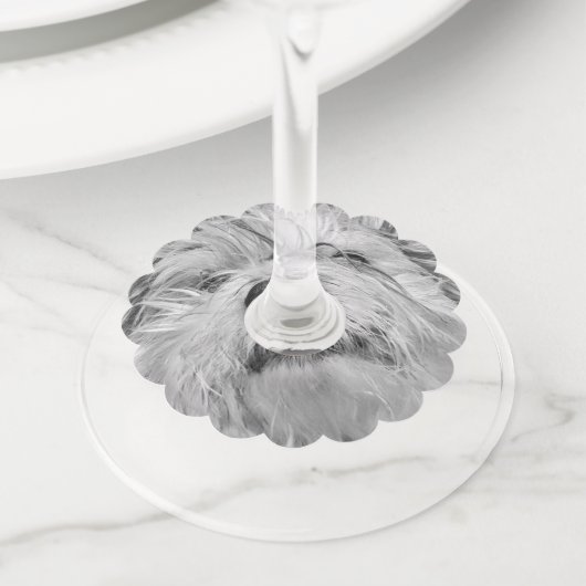 Étiquette Pour Verre De Vin Chien de Coton de Tulear (De près)