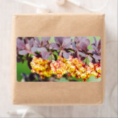 Étiquette Printemps (En situation)