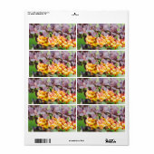 Étiquette Printemps (Feuille entière)