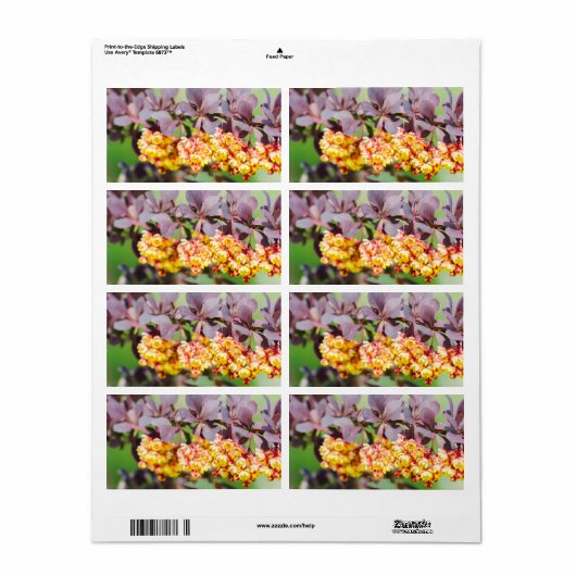 Étiquette Printemps (Feuille entière)