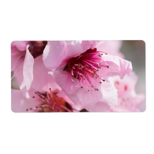 Étiquette Printemps (Devant)