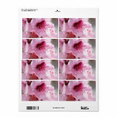 Étiquette Printemps (Feuille entière)