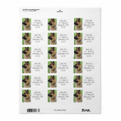 Étiquette Profil berger allemand (Feuille entière)