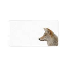 Profil Coyote