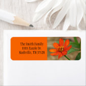 Étiquette Profusion de Zinnia orange (En situation)