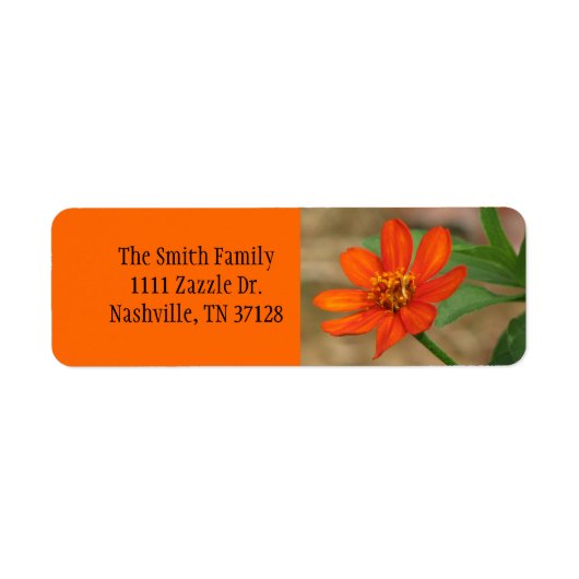 Étiquette Profusion de Zinnia orange (Devant)