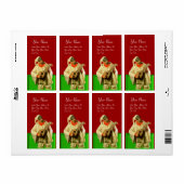 Étiquette PULCINELLA AVEC MANDOLIN rouge vert blanc (Feuille entière)