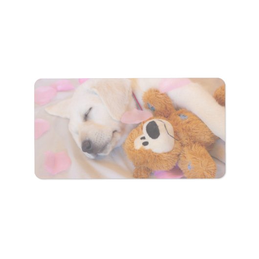Étiquette Puppy cuddles 02 (Devant)