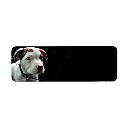 Étiquette Puppy Pit Bull T-Bone (Devant)