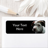 Étiquette Puppy Pit Bull T-Bone (En situation)