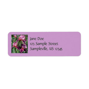 Étiquette Purple Irises Printemps Floral